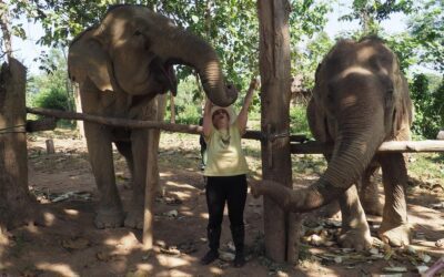Ethical Elephant Adventures in Laos