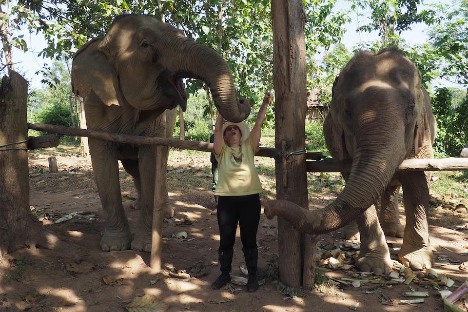 Ethical Elephant Adventures in Laos