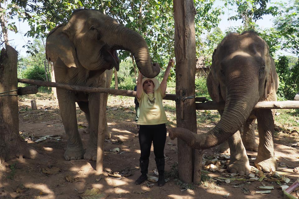 Ethical Elephant Adventures in Laos - JourneyWoman