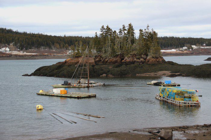 The view to the right approaching the ferry terminal in Blacks Harbour