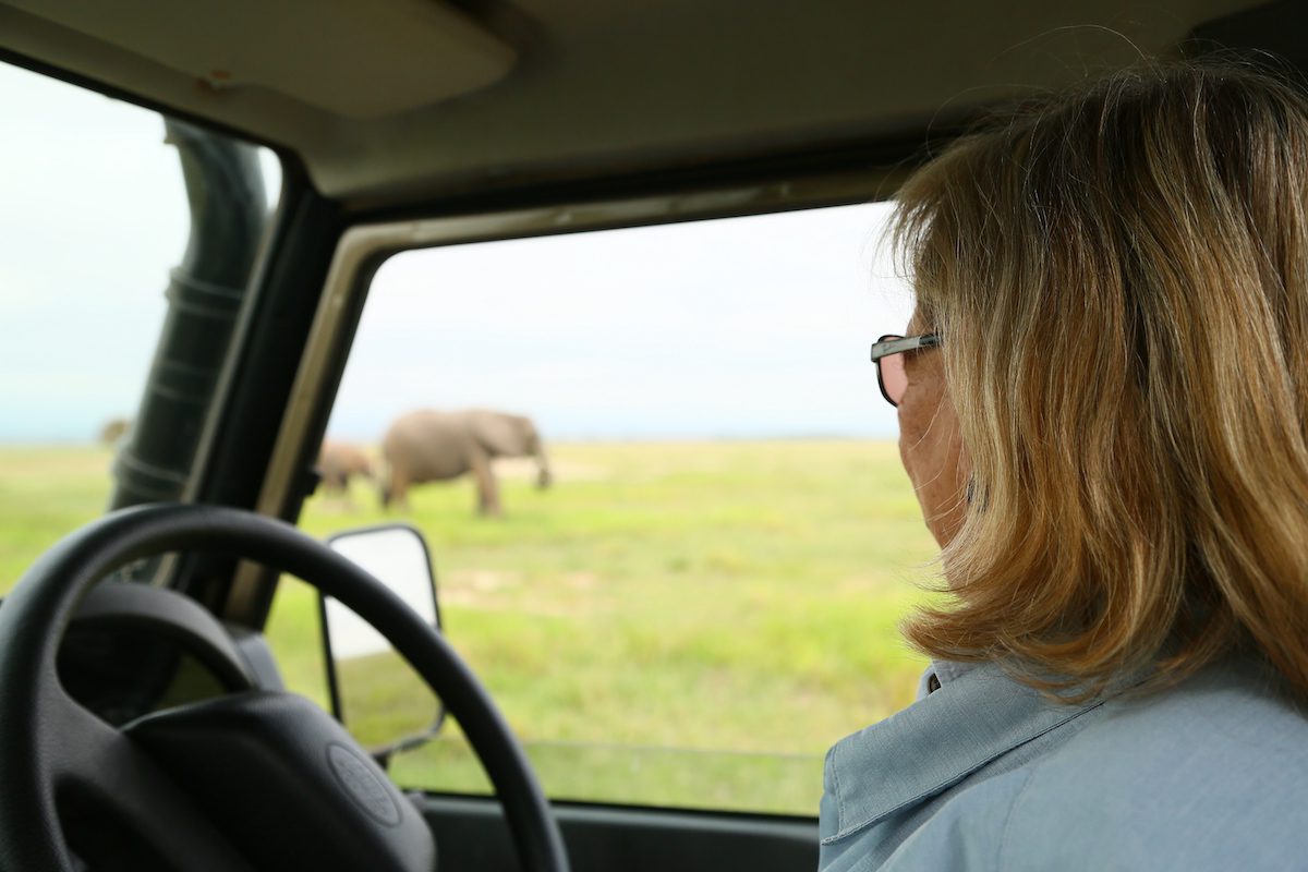 Dr Cynthia Moss views elephants from within her jeep in Amboseli National Park