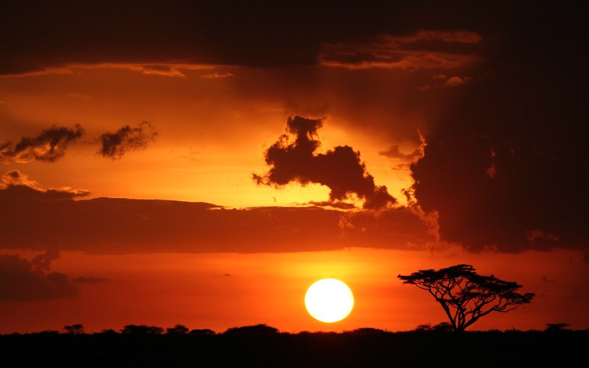 The sun sets over a safari in Tanzania, creating a magnificent orange sky