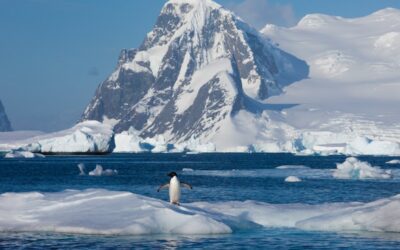 Bucket List Travel: Going to the End of the World in Antarctica