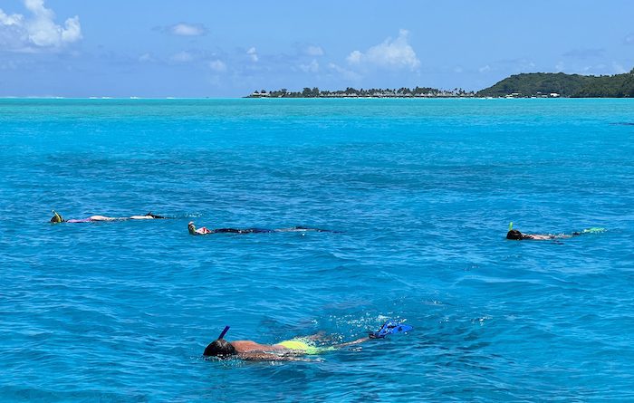 Snorkellers looking for manta rays in Bora Bora