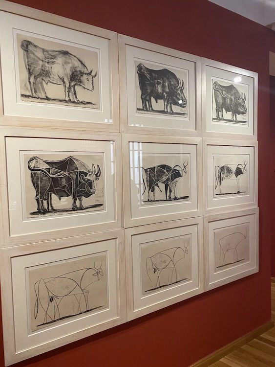 Picasso's bulls on display in Malaga