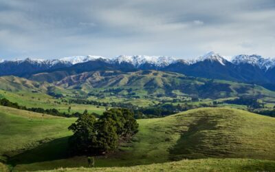 Snow-Capped Ruahines Mountain Range in New Zealand North Island
