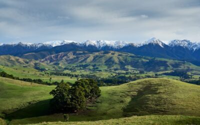 Set in New Zealand, “Remember Me” Asks ‘Are Some Secrets Best Left Buried?’