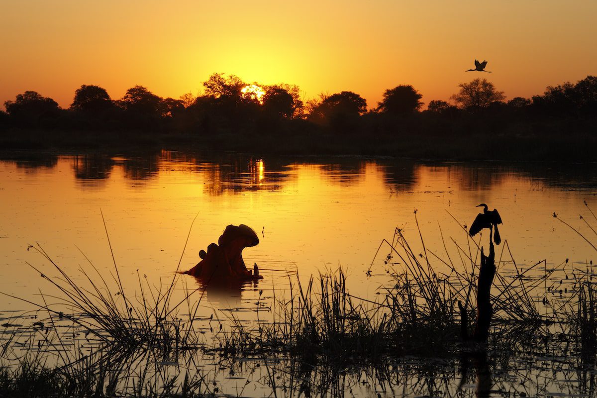 Sunset over the Xakanaxa channel in the Okavango Delta in Botswana, Africa.