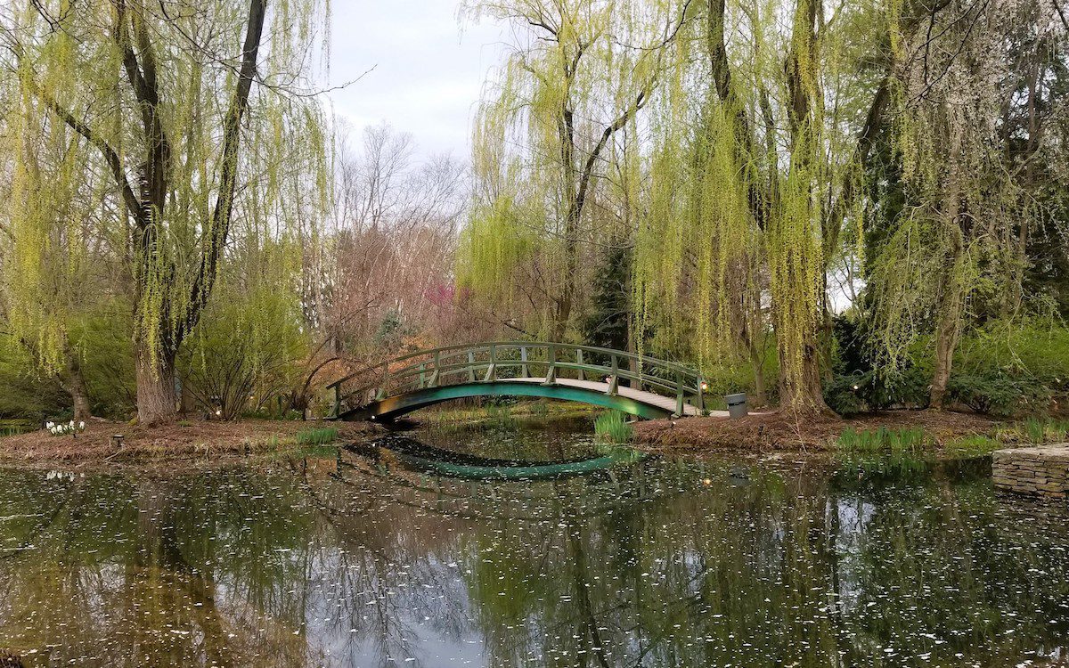 Grounds for Sculpture park near New York City