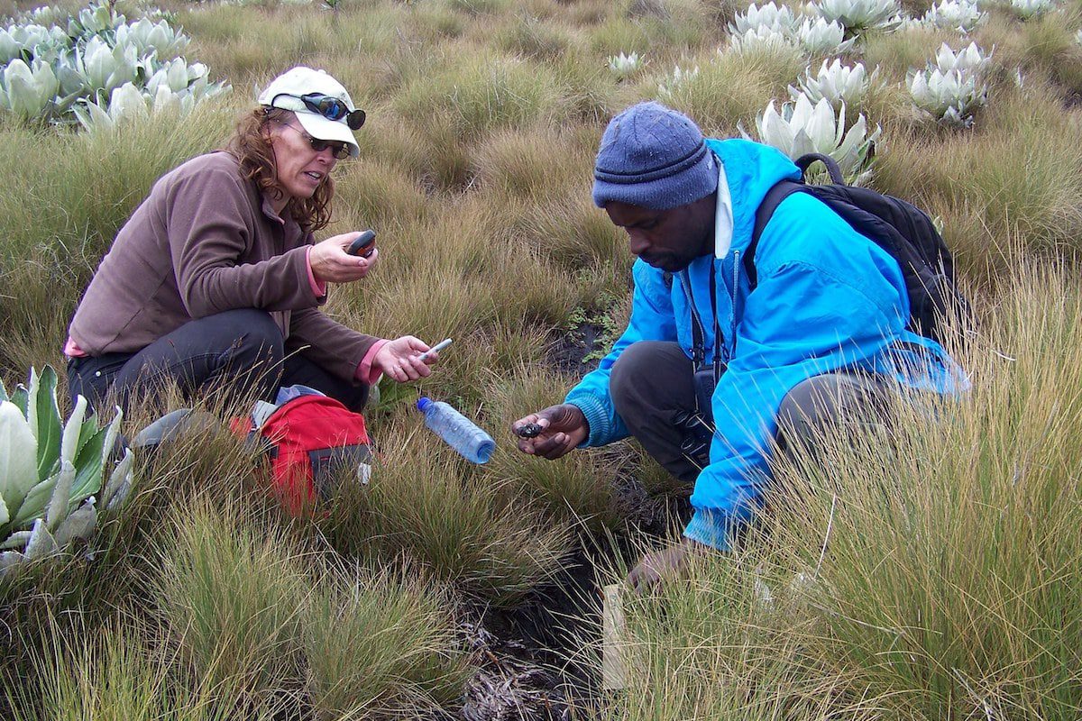 Darcy and Paul Muriithi. He was Peregrai student searching for the Abysinnian Owl on Mt Kenya. A species that hasn't been seen in Kenya since the 1970s.