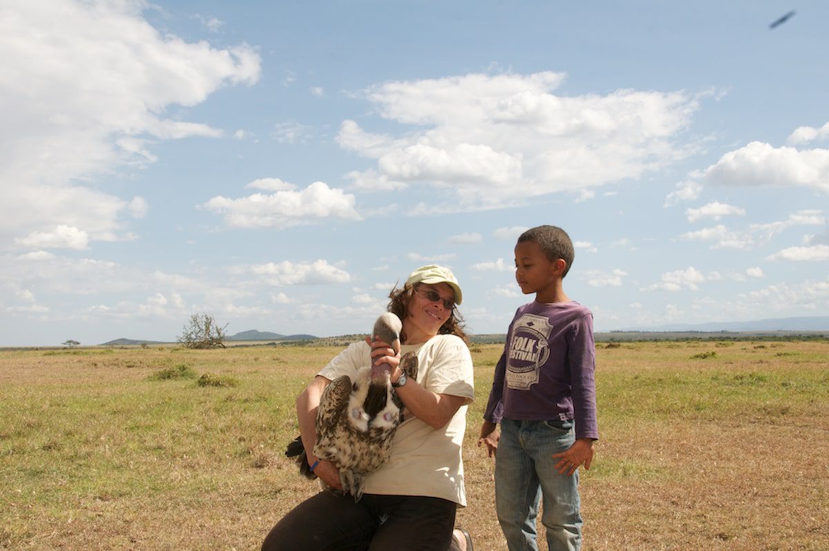 Darcy and her son Franco about to release a tagged Ruppell's Vulture photo S. Kapila