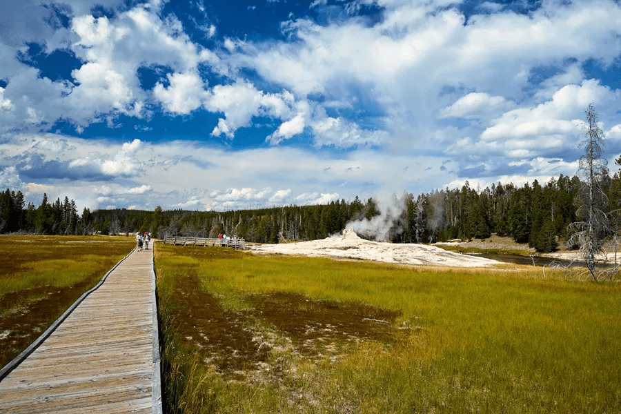 Yellowstone - Insight Vacations