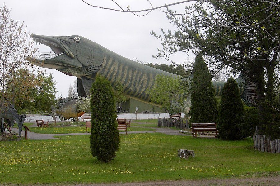Giant muskie fish outside the Fishing Hall of Fame, Hayward Wisconsin