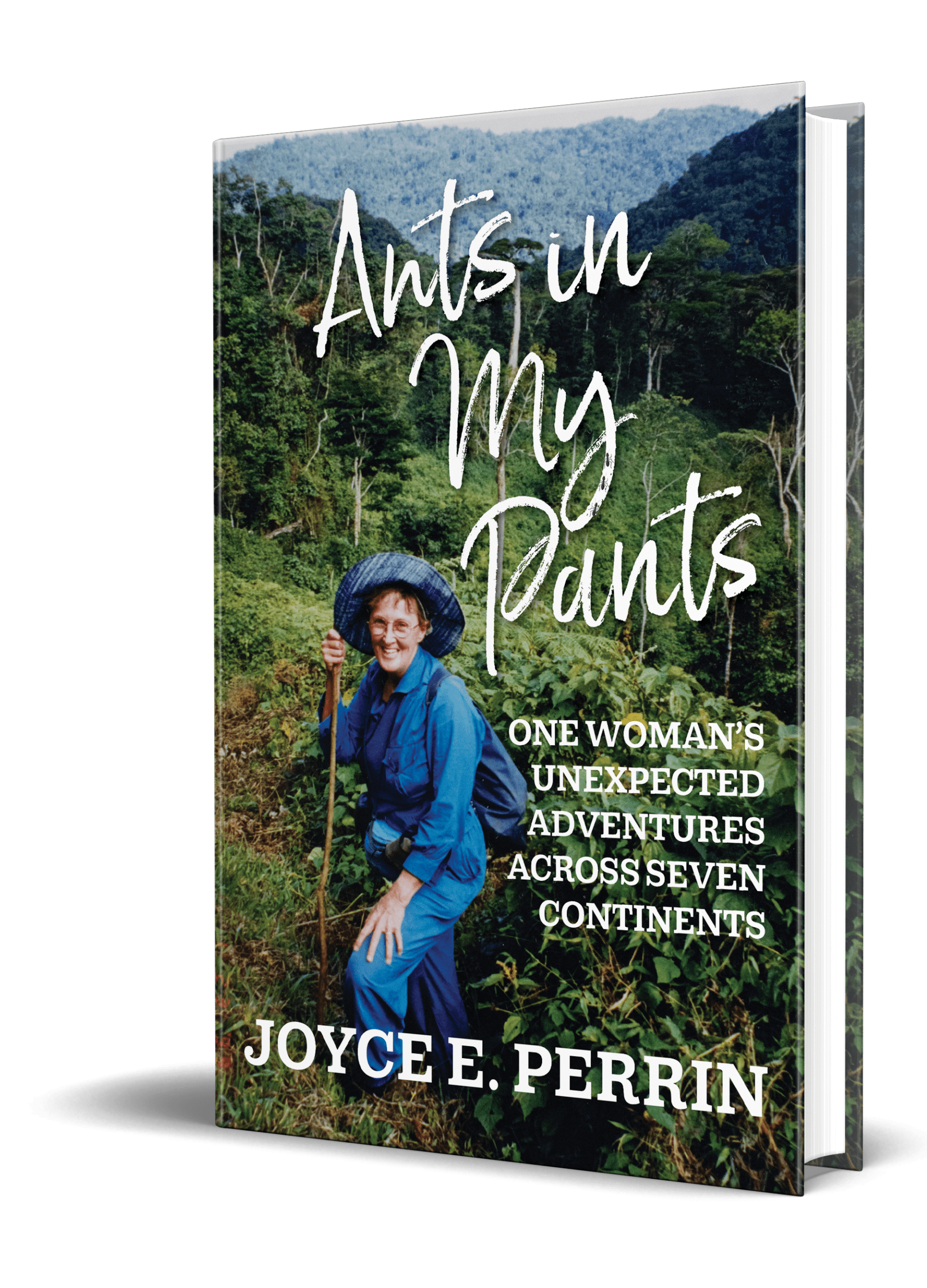 Joyce Perrin never too old to travel solo book