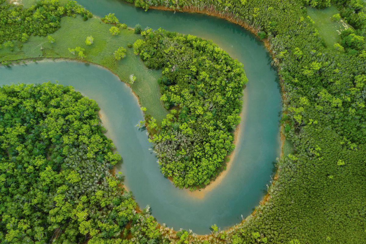 The aerial view of the river surrounded by dense green vegetation. Amazon River, Ecuador, South America.