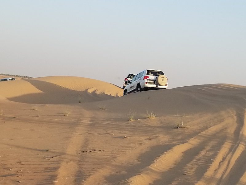 Sand dunes in the desert of Abu Dhabi, UAE