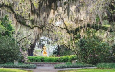 “The Joy of Exploring Gardens” by Lonely Planet: A New Travel Guide for Garden Lovers