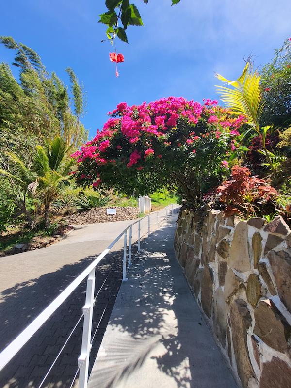 Colourful plants line pathways around the resort making every stroll a delight for the senses.