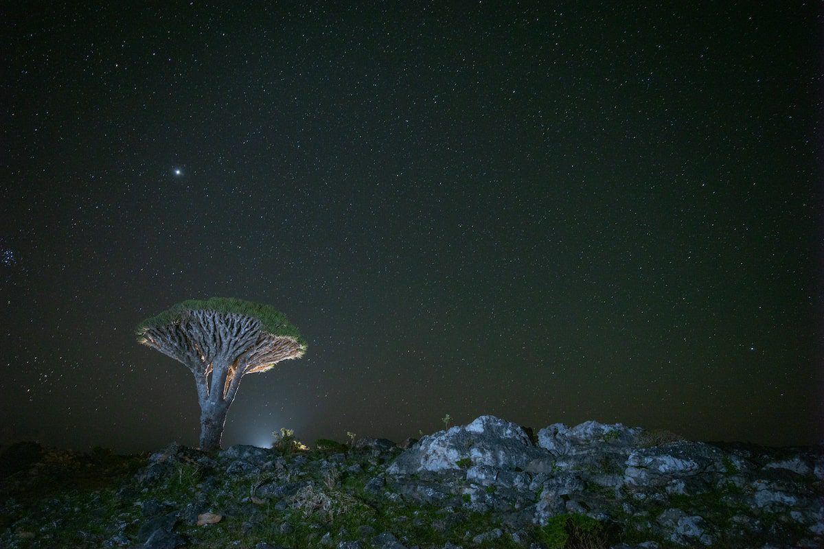 Socotra at night Swan Hellenic expedition cruise