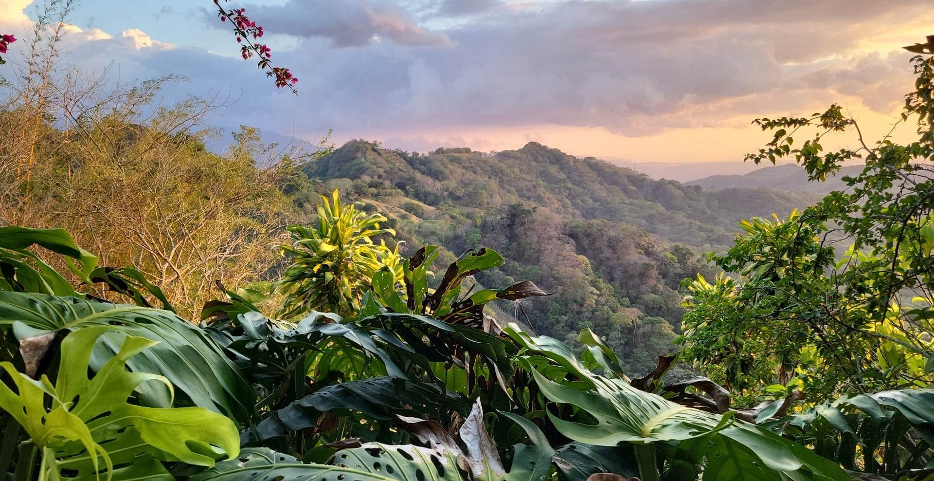 Panoramic view overlooking the jungle in Costa Rica while on a menopause retreat