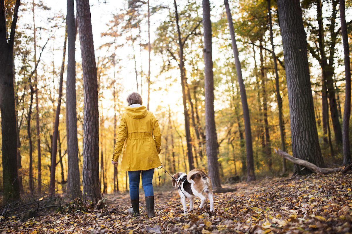 An older woman walks her dog during a hike through a forest.