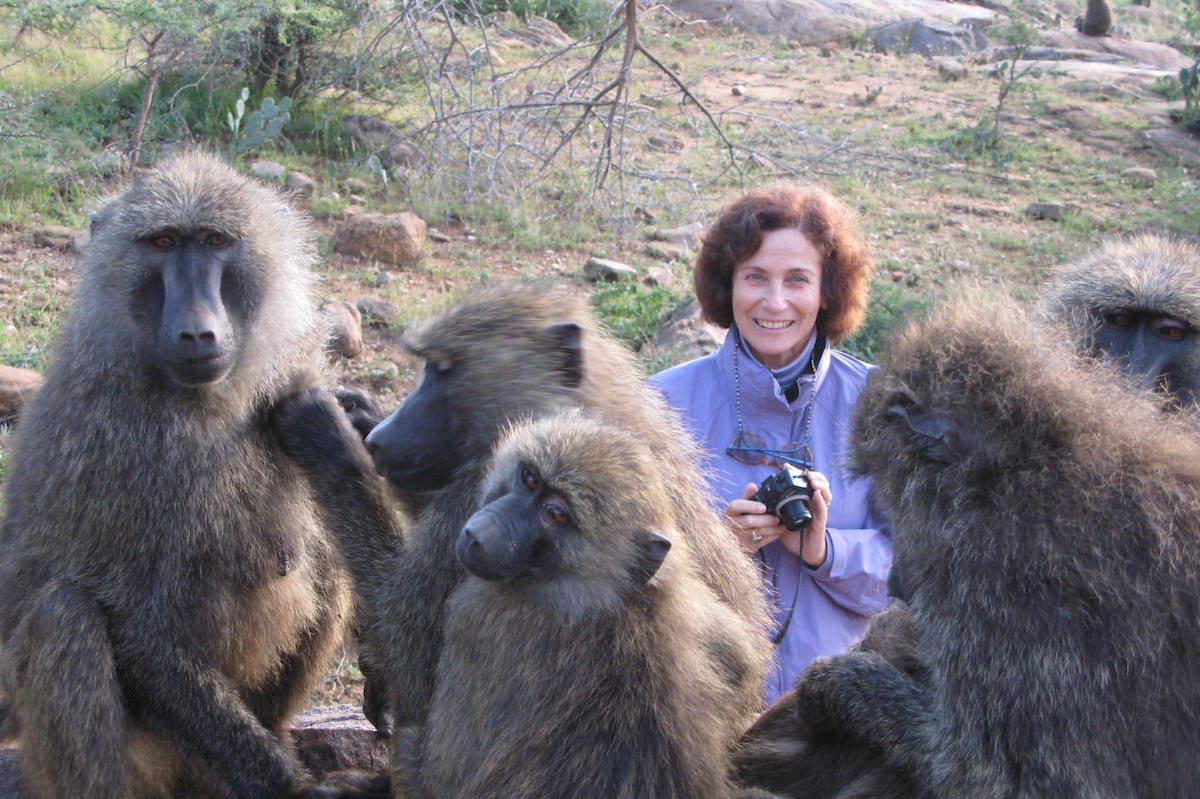 Shirley Strum with a group of baboons in Kenya
