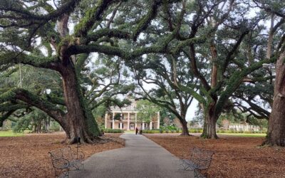 Getting Quirky in Eastern Louisiana: New Orleans and More