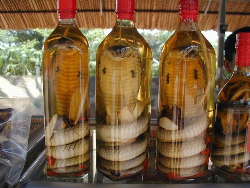 Three bottles of wine with a snake coiled up inside, found in Vietnam