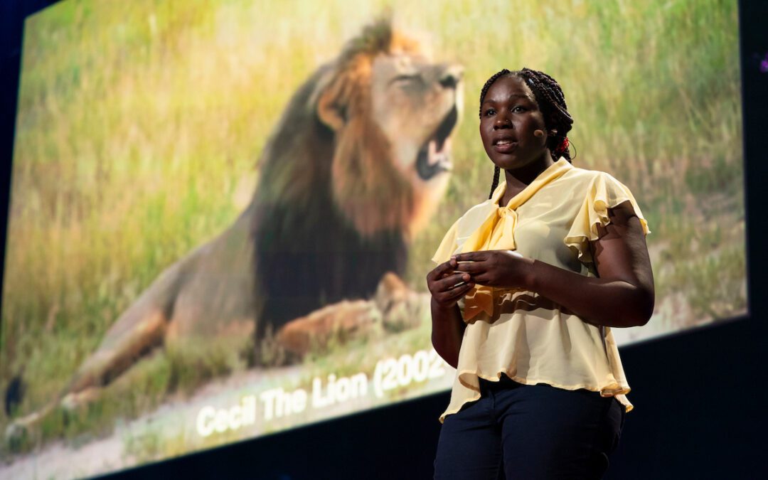 Meet the Woman Protecting Zimbabwe’s Majestic Lions: Moreangels Mbizah, the only Indigenous Black Woman Lion Conservationist in Zimbabwe