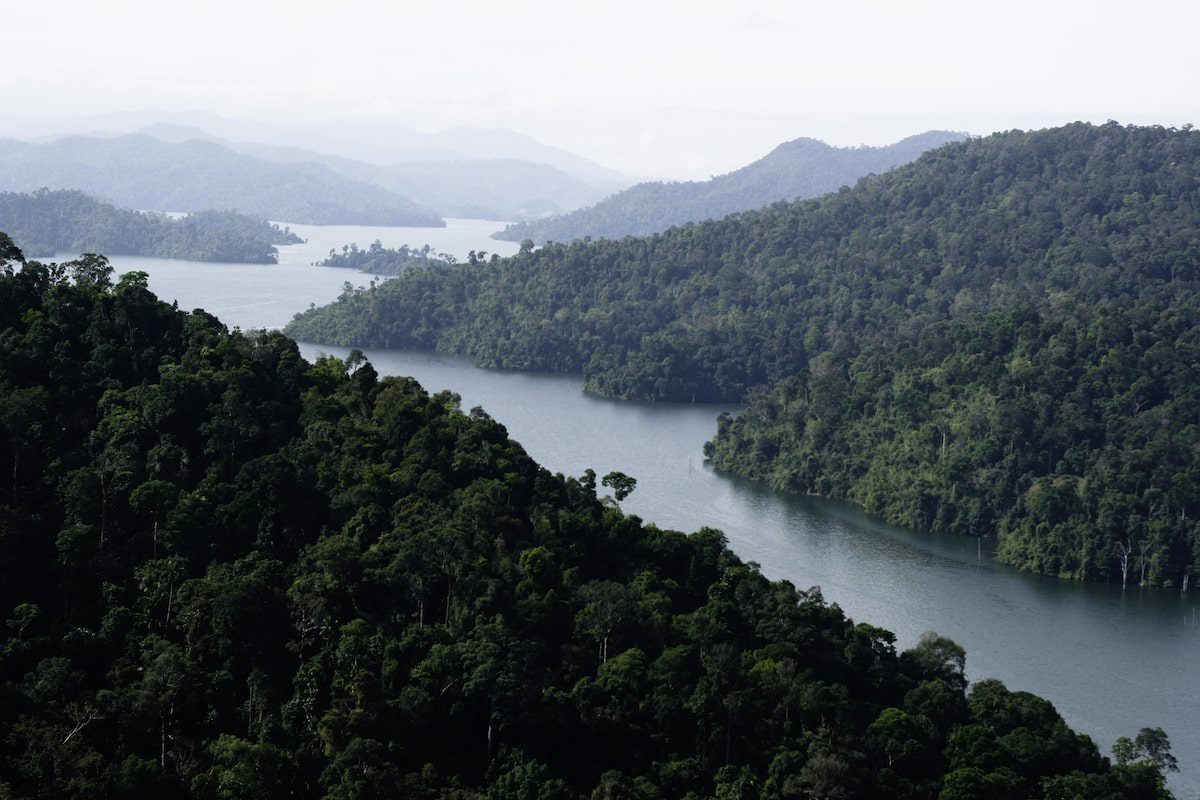 Royal Belum National Park Rainforest Perak Malaysia