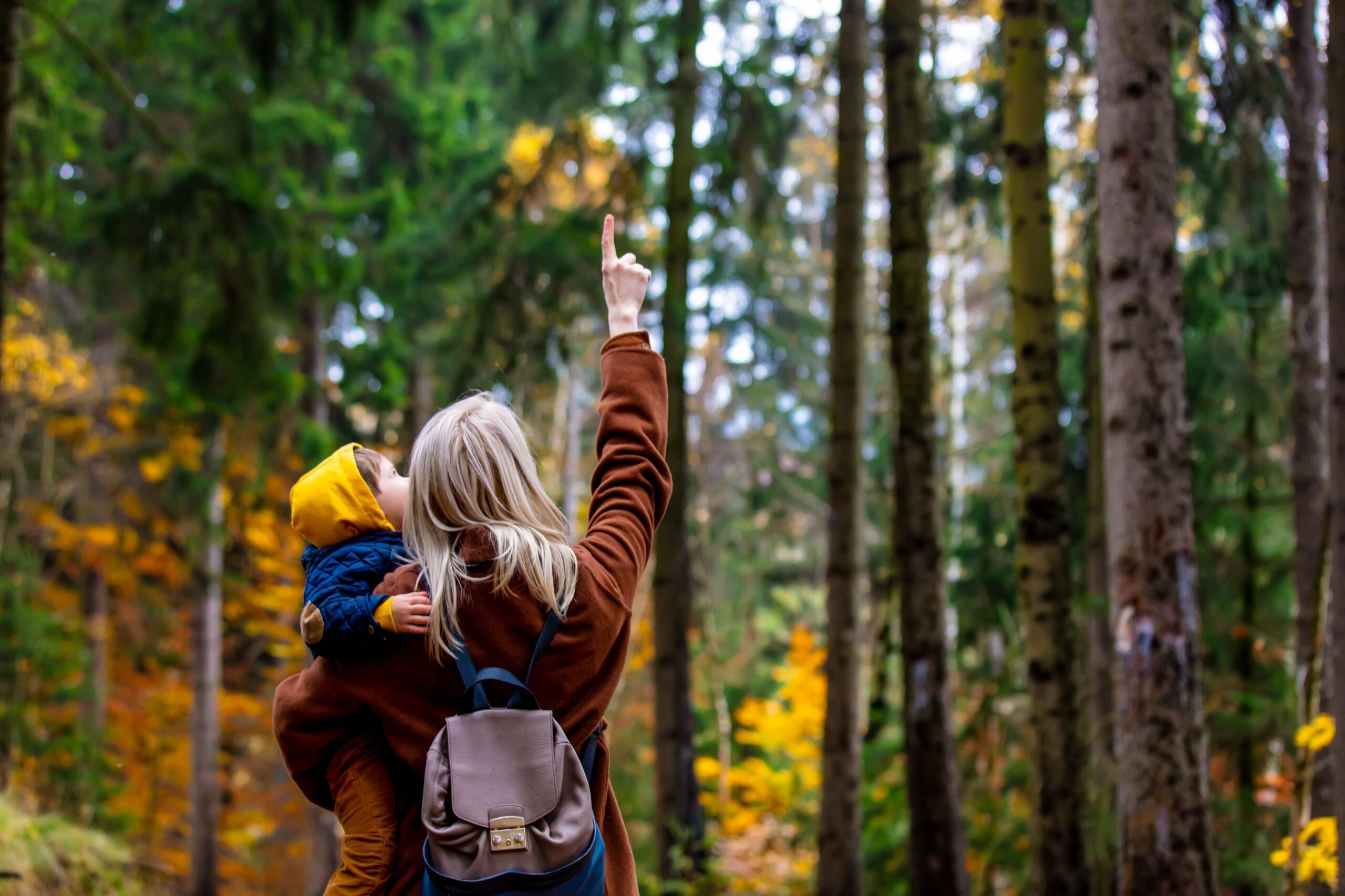 a woman pointing to her grandchild in the forest to teach grandchildren about sustainable travel