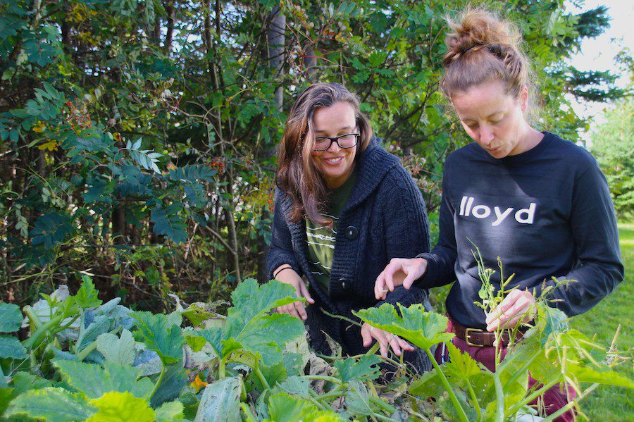 Lori McCarthy and Marsha Tulk foraging in the woods, looking at plants