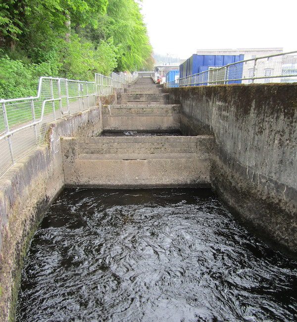 Pitlochry's famous fish ladder where salmon are assisted in their daunting spawning journey upstream