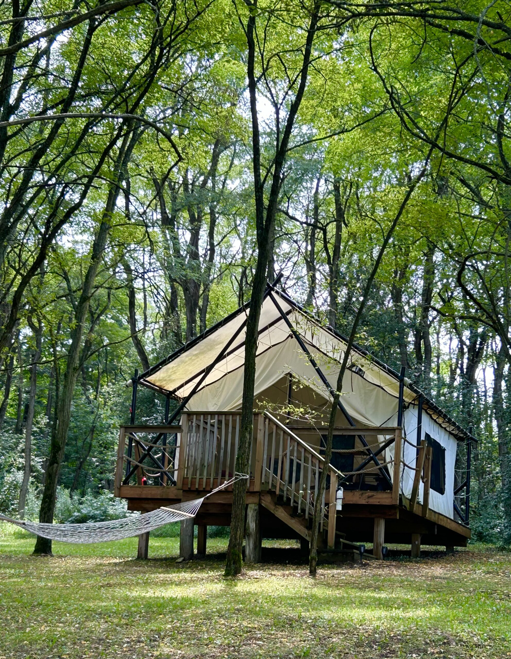 cabin in the woods at Whispering Springs 