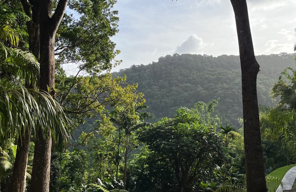 Lush hills in Martinique