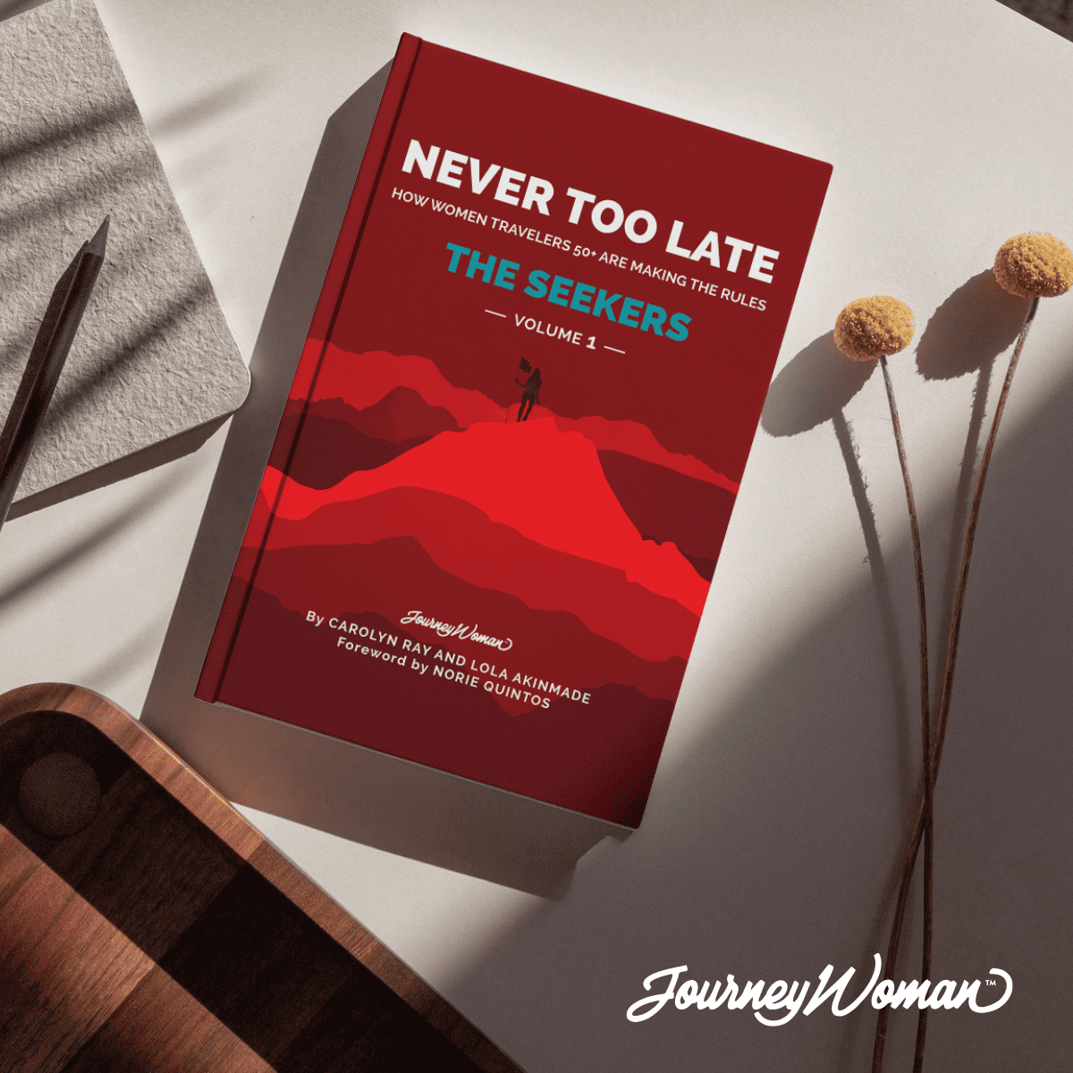 Journeywoman never too late book cover 