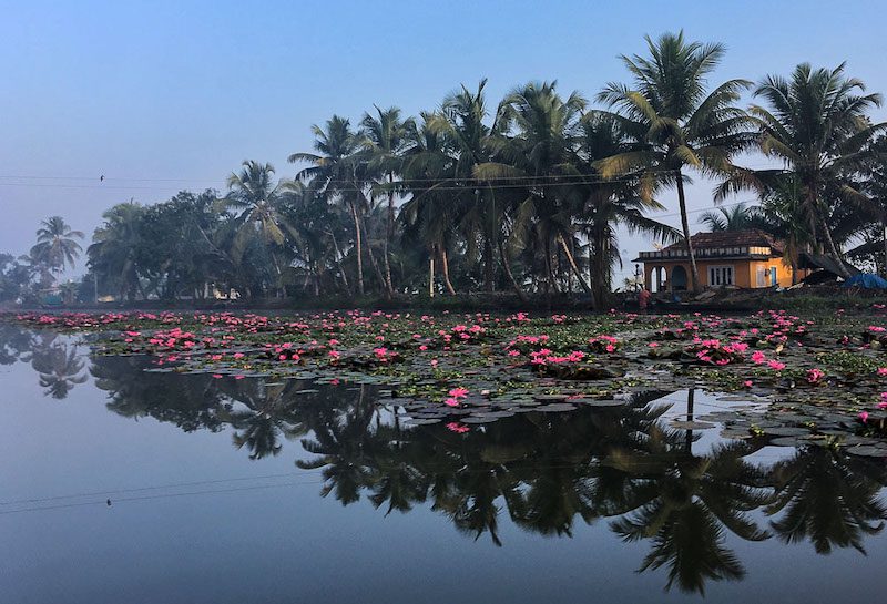 Kerala backwaters