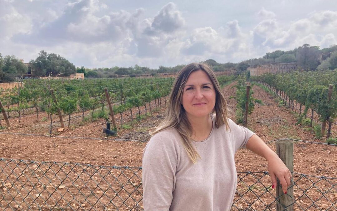 Transforming an Abandoned Quarry Into a Vineyard: A Story of Sustainability in Mallorca