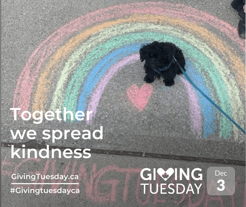 giving tuesday 2024 we spread kindness