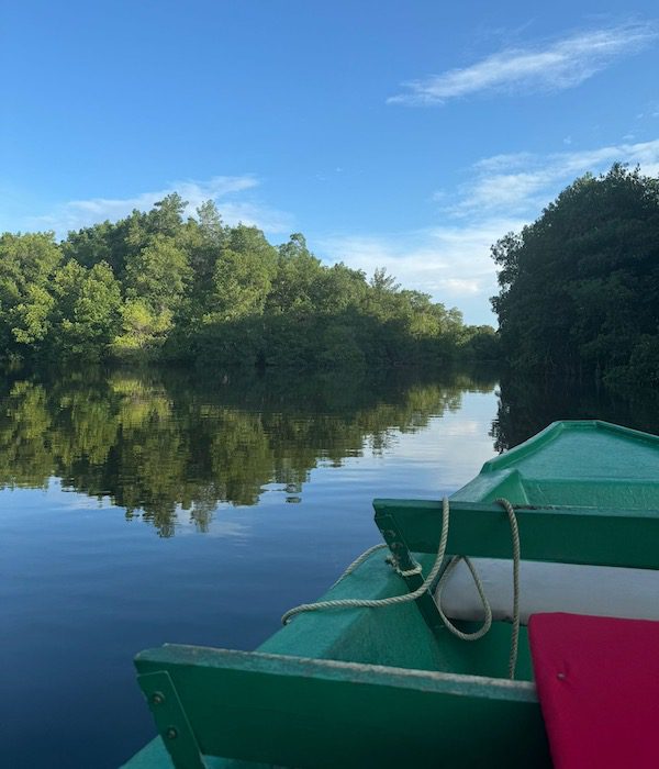 Sunset Dinner and Sail through the Caroni Bird Sanctuary