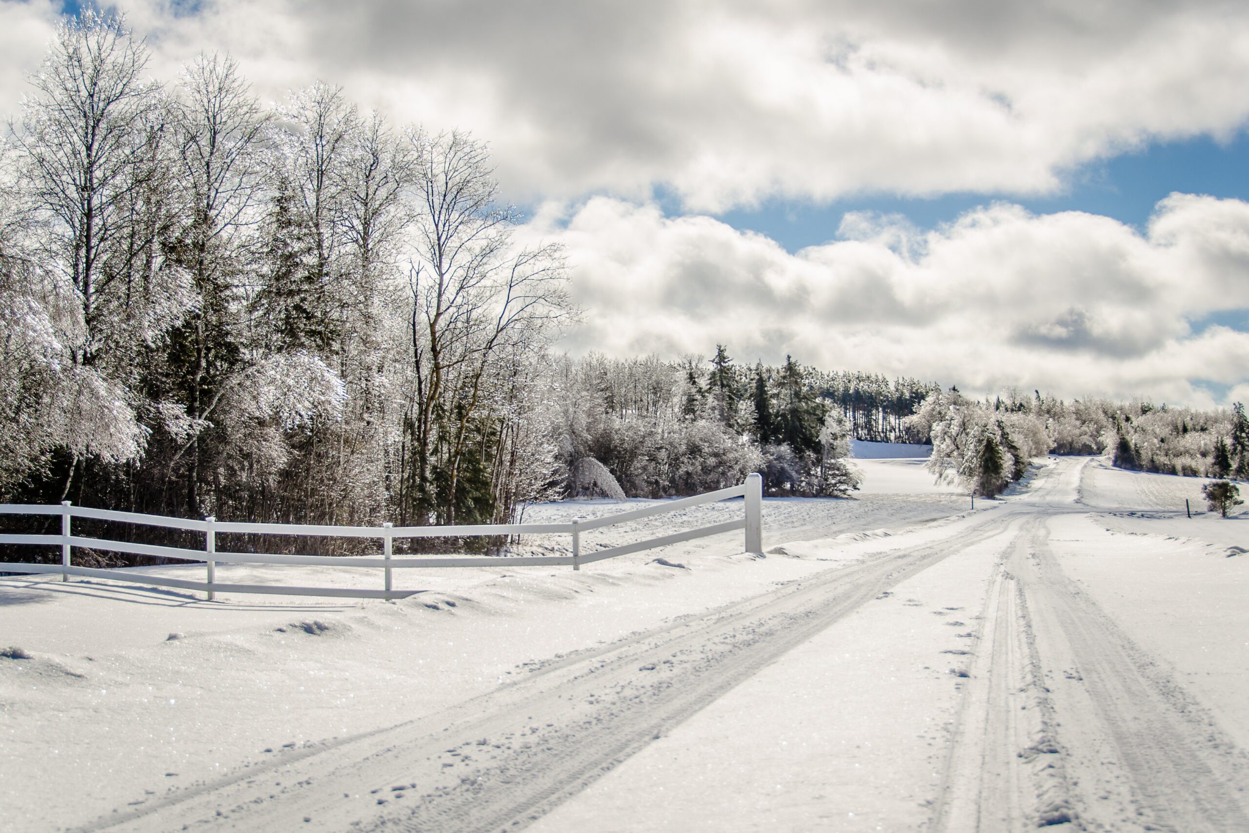 winter on a farm ontario canada 