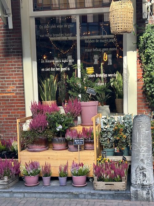 Flower shop in Delft, Netherlands