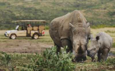 Blue Sky Society Trust Announces Women-Only Conservation Trip to South Africa