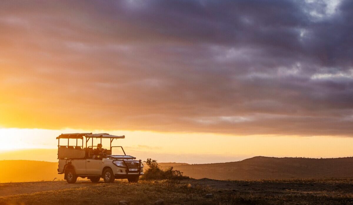 sunrise in south africa conservation trip blue sky