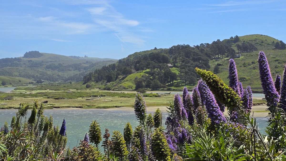 Scenic views along the California coast