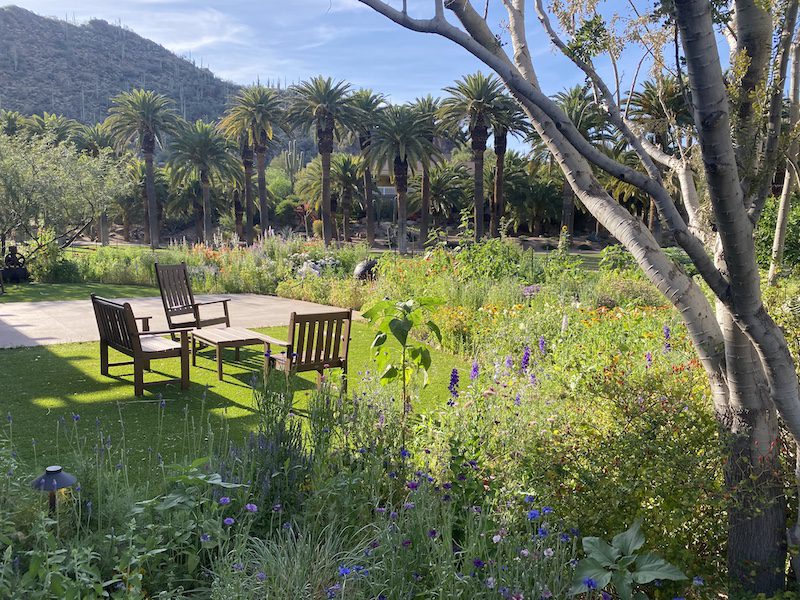 Lush gardens Castle Hot Springs