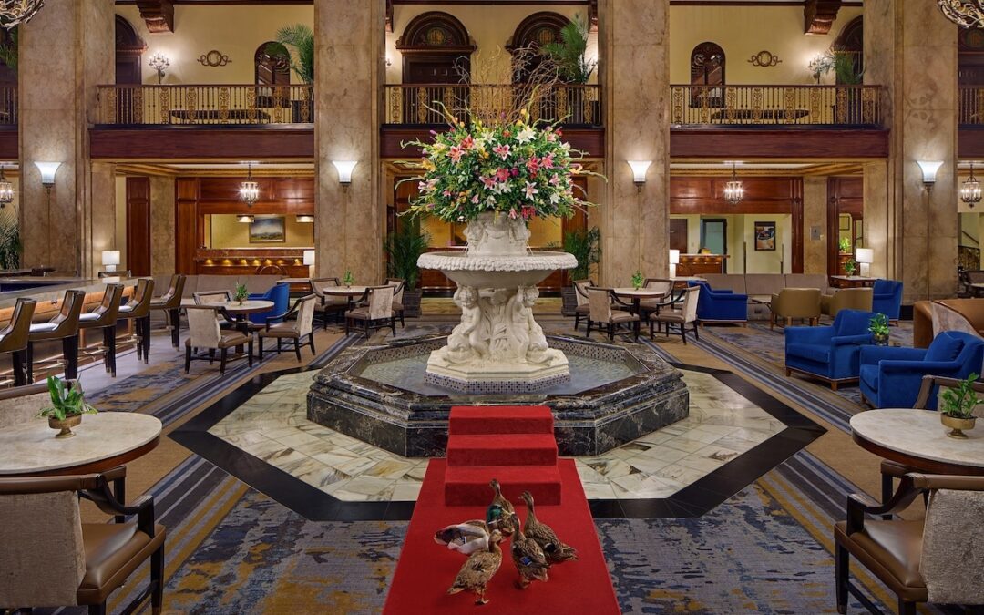 March of the World-Famous Peabody Ducks: Adventures in Memphis