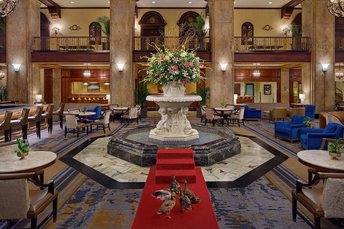 Peabody Ducks in Hotel Lobby