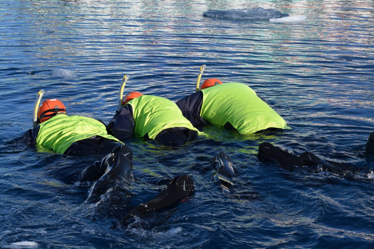 Three people snorkeling in Antarctica