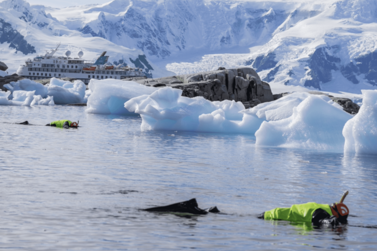 Aurora Expeditions snorkeling in Antarctica